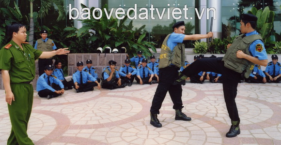 Bảo vệ Đất Việt huấn luyện võ thuật - Công Ty TNHH Dịch Vụ Bảo Vệ Đất Việt - CN Tiền Giang